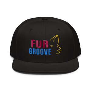 Snapback Hat