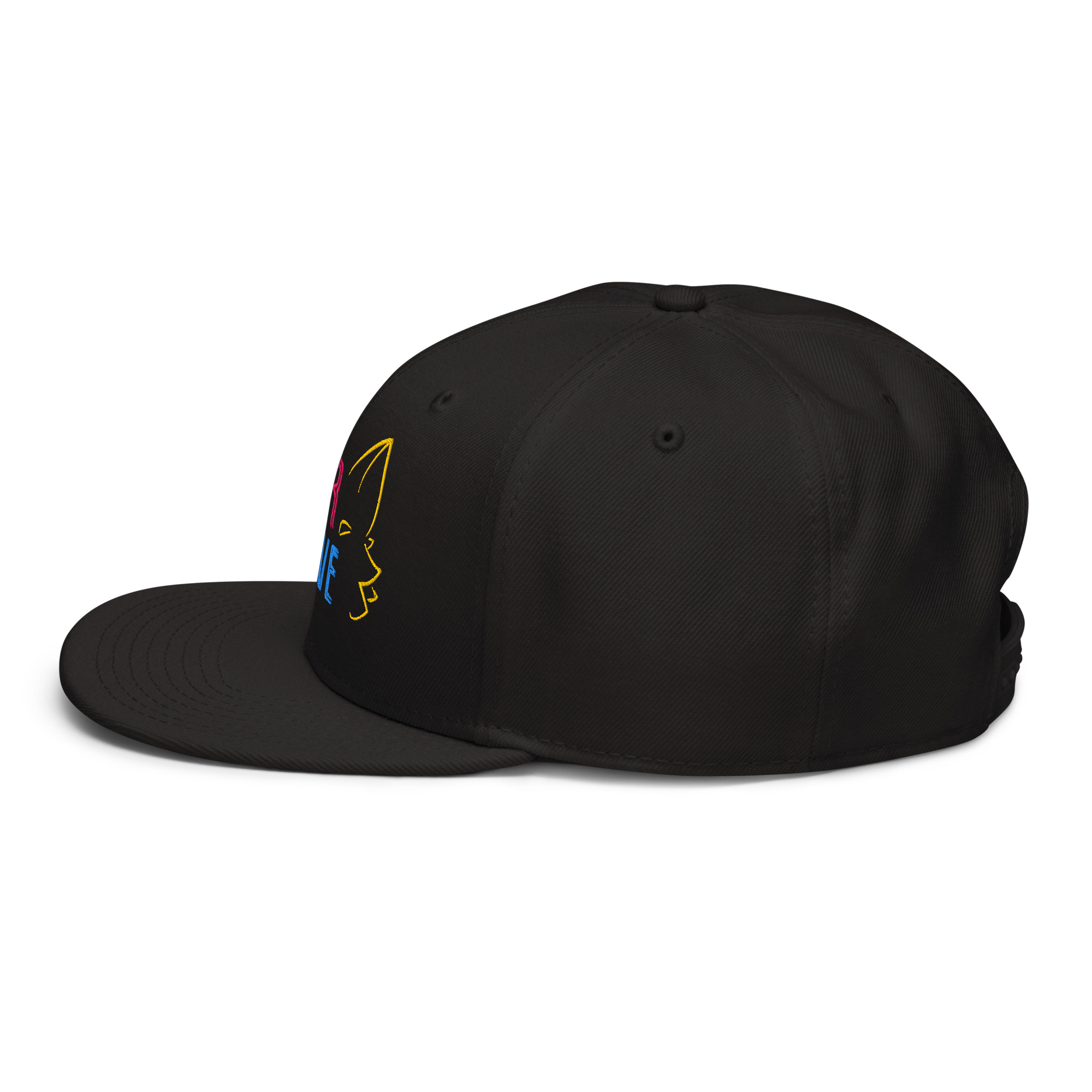 Snapback Hat - Image 11